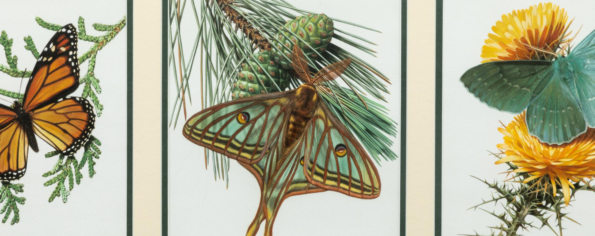 Flying in Harmony , Triptych