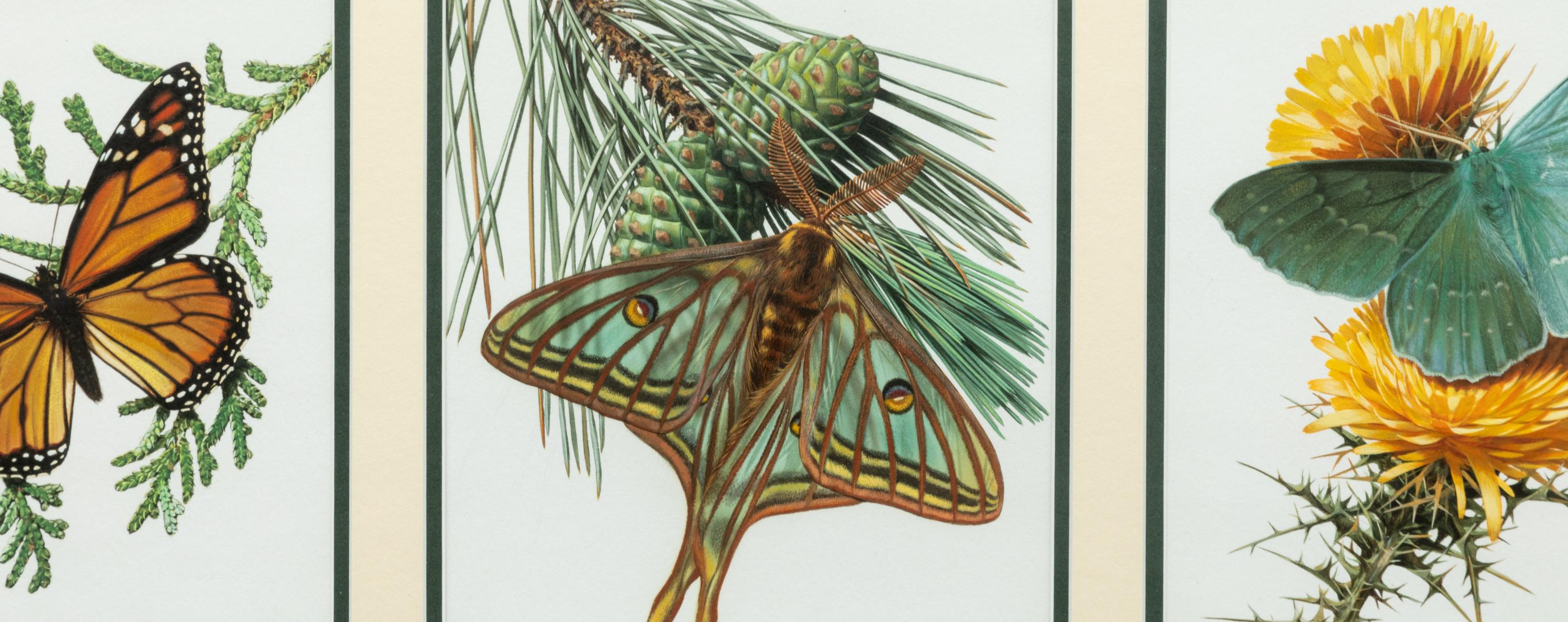 Flying in Harmony , Triptych