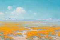 Spring on the Desert, Antelope Valley, California