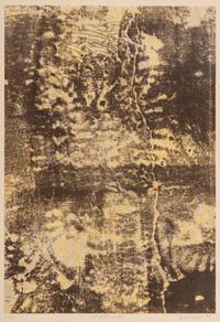 Ground Soil ( Dispositif au sol ) (from Clean Slates ( Tables rases ) from Phenomena ( Les Phénomènes) ), 1958