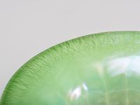 Pastel Bowl with Laurel Leaf Pattern