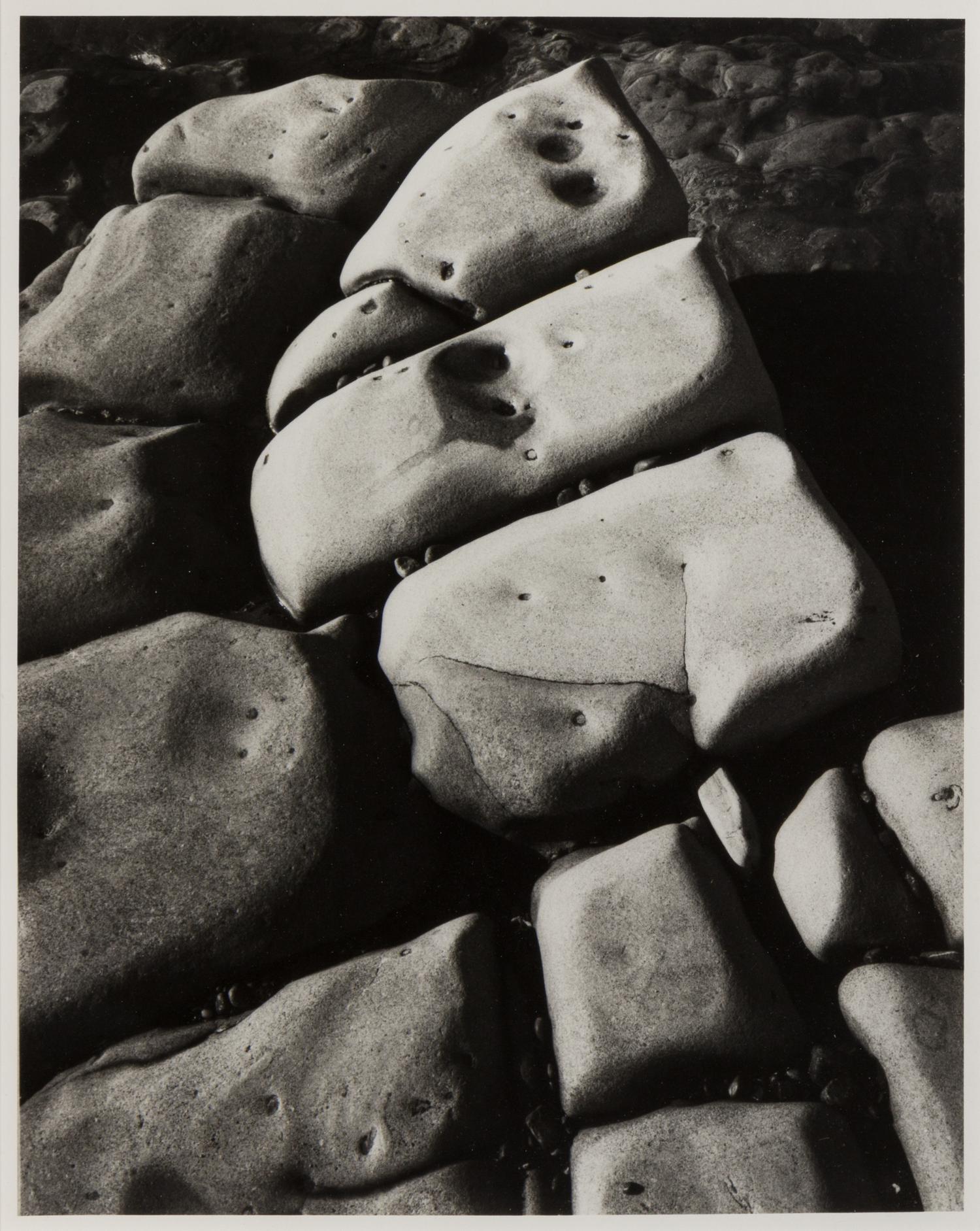 Ansel Adams, (American, 1902-1984), Rock detail, Point Lobos California, 1971