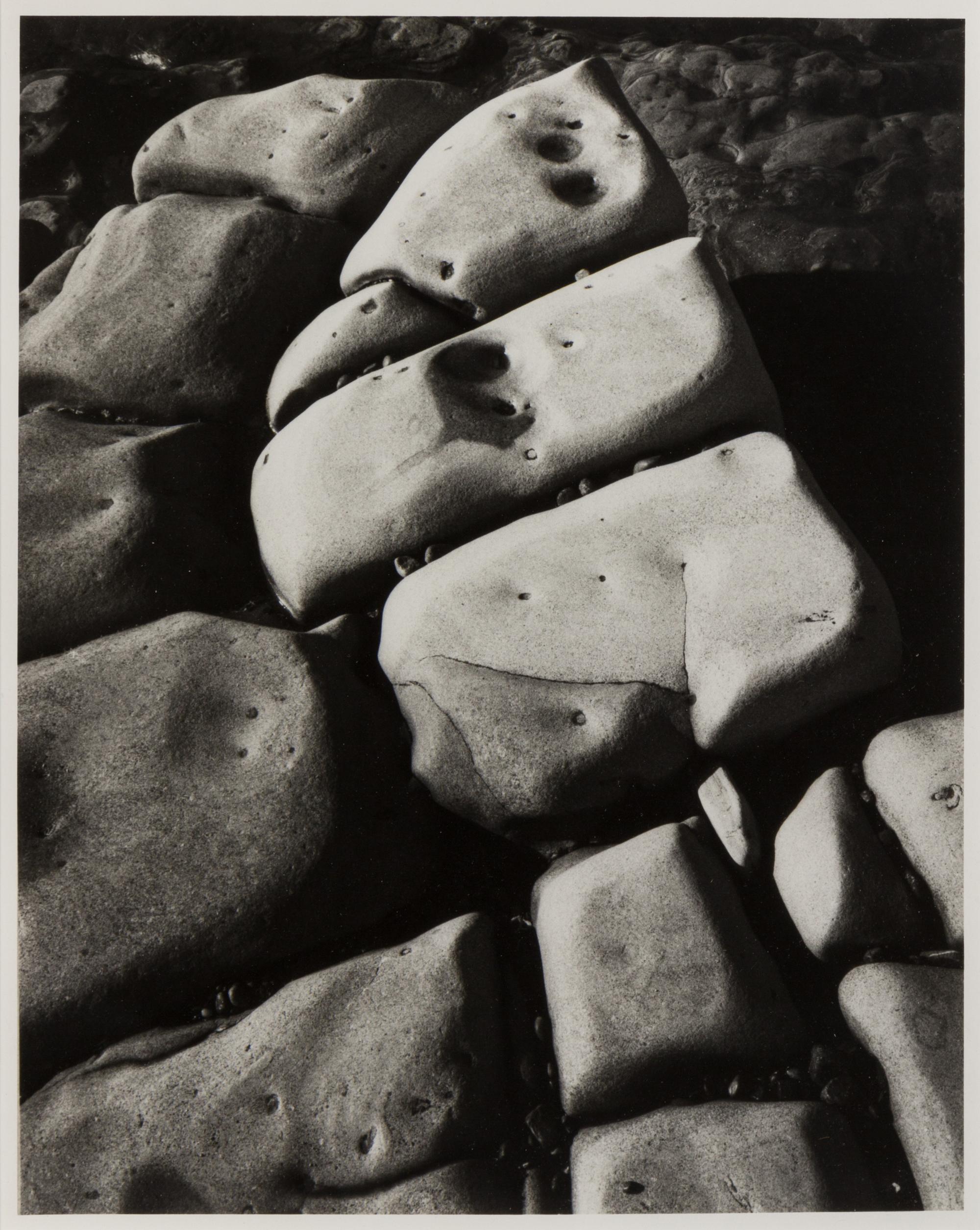 Ansel Adams, (American, 1902-1984), Rock detail, Point Lobos California, 1971