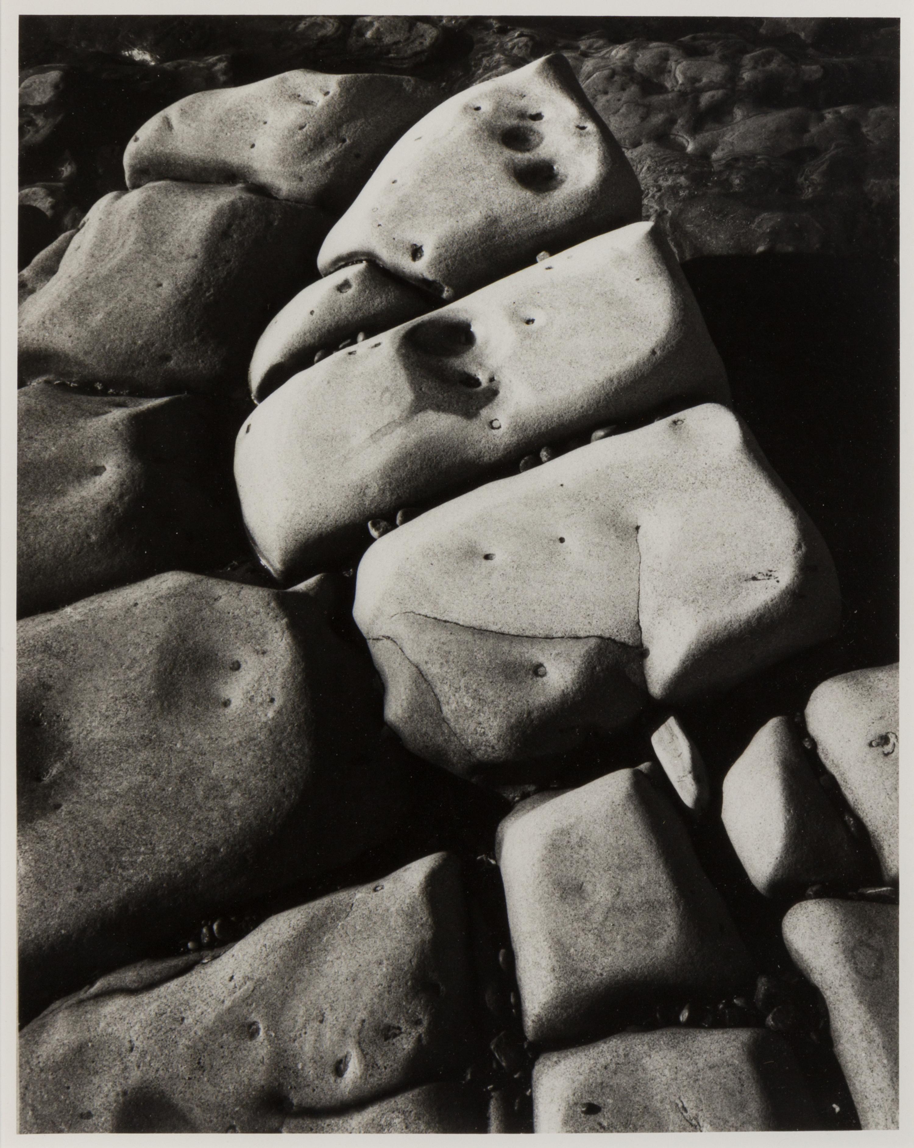 Ansel Adams, (American, 1902-1984), Rock detail, Point Lobos California, 1971
