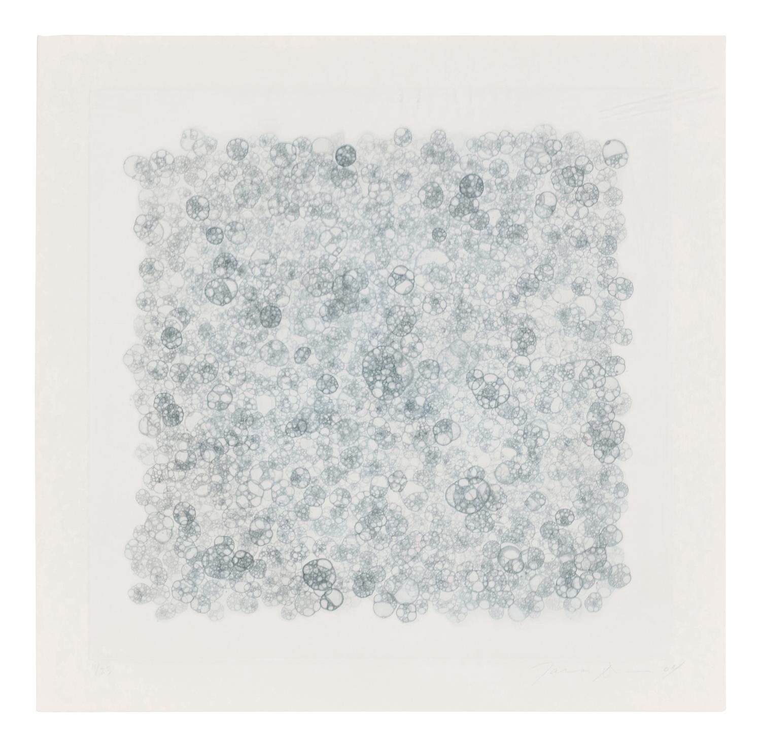 Untitled 1-V (complete set of 5), 2004