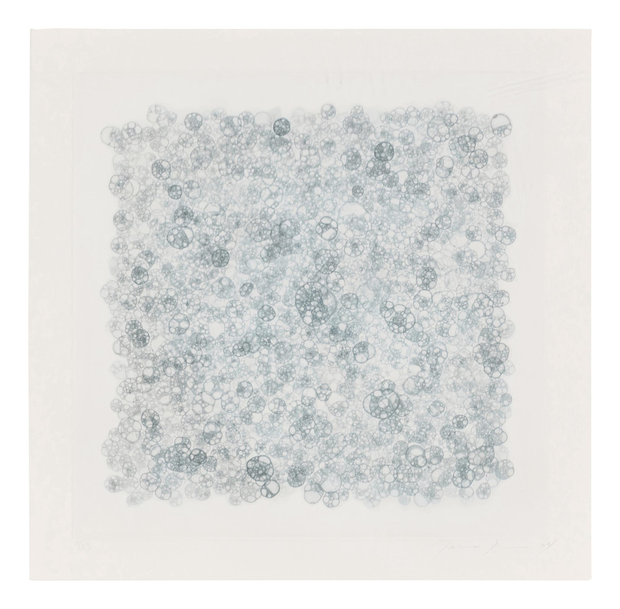 Untitled 1-V (complete set of 5), 2004