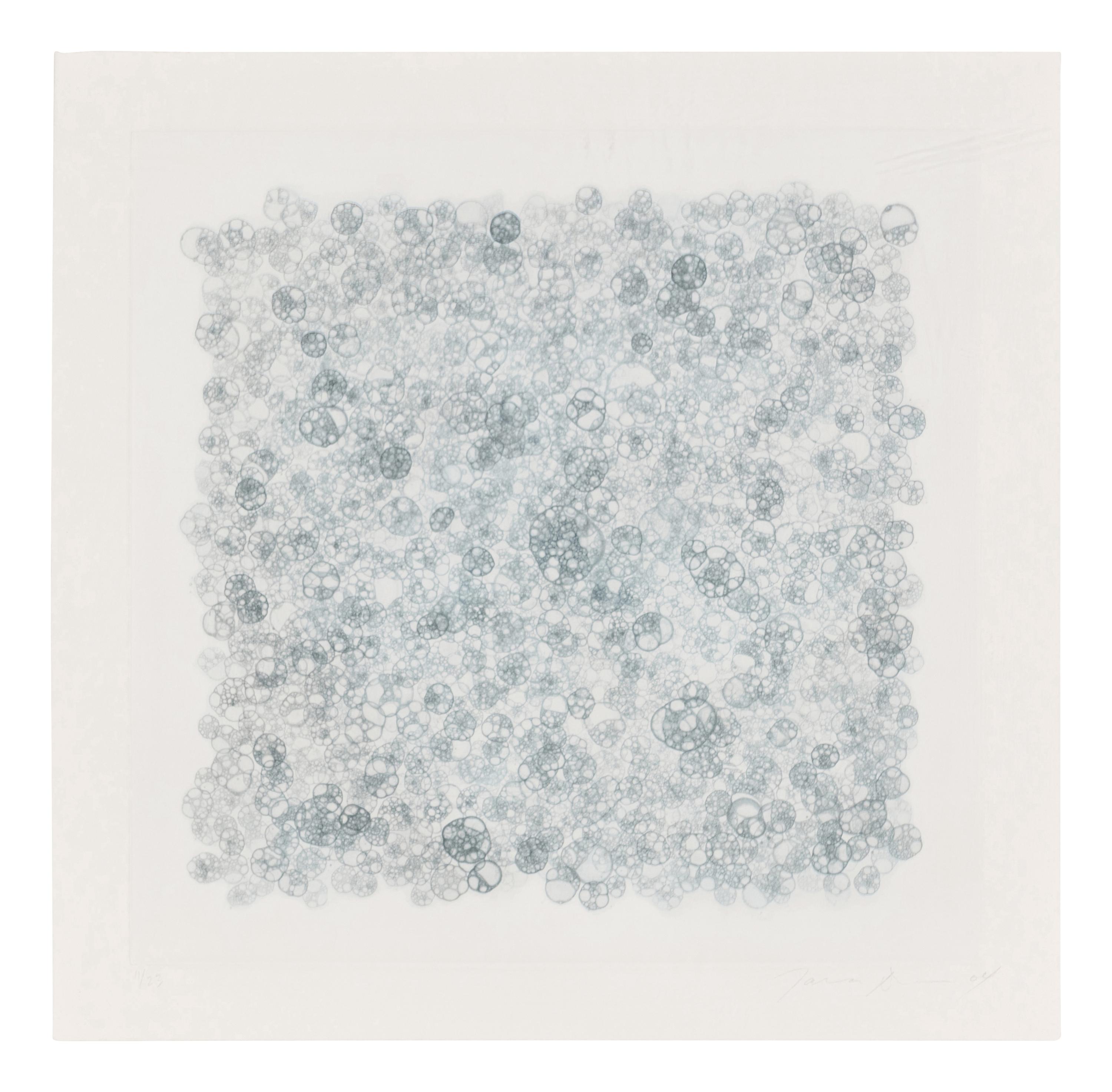 Untitled 1-V (complete set of 5), 2004