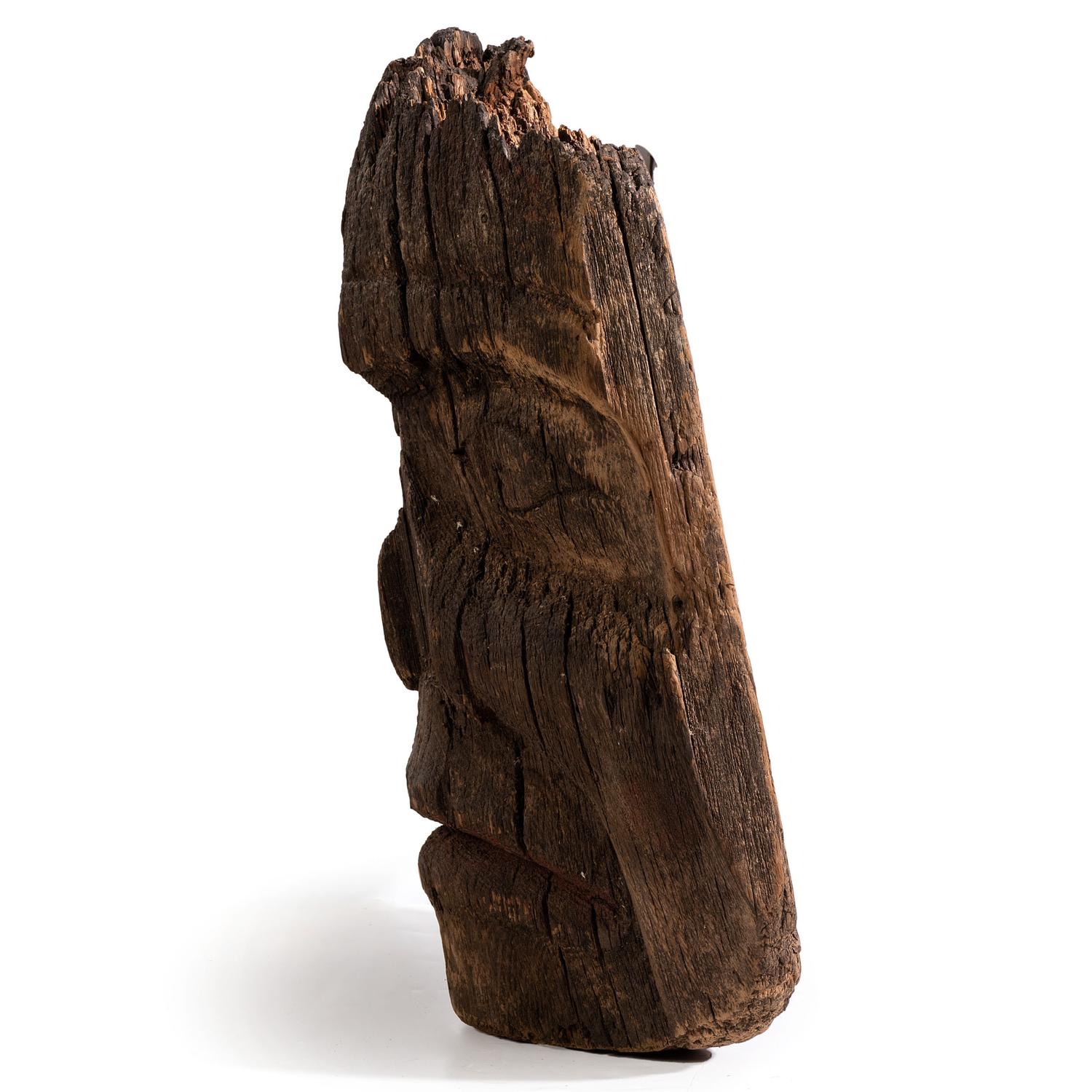 Northwest Coast Totemic Fragment