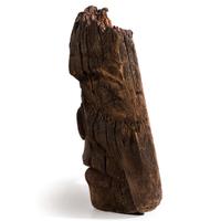 Northwest Coast Totemic Fragment