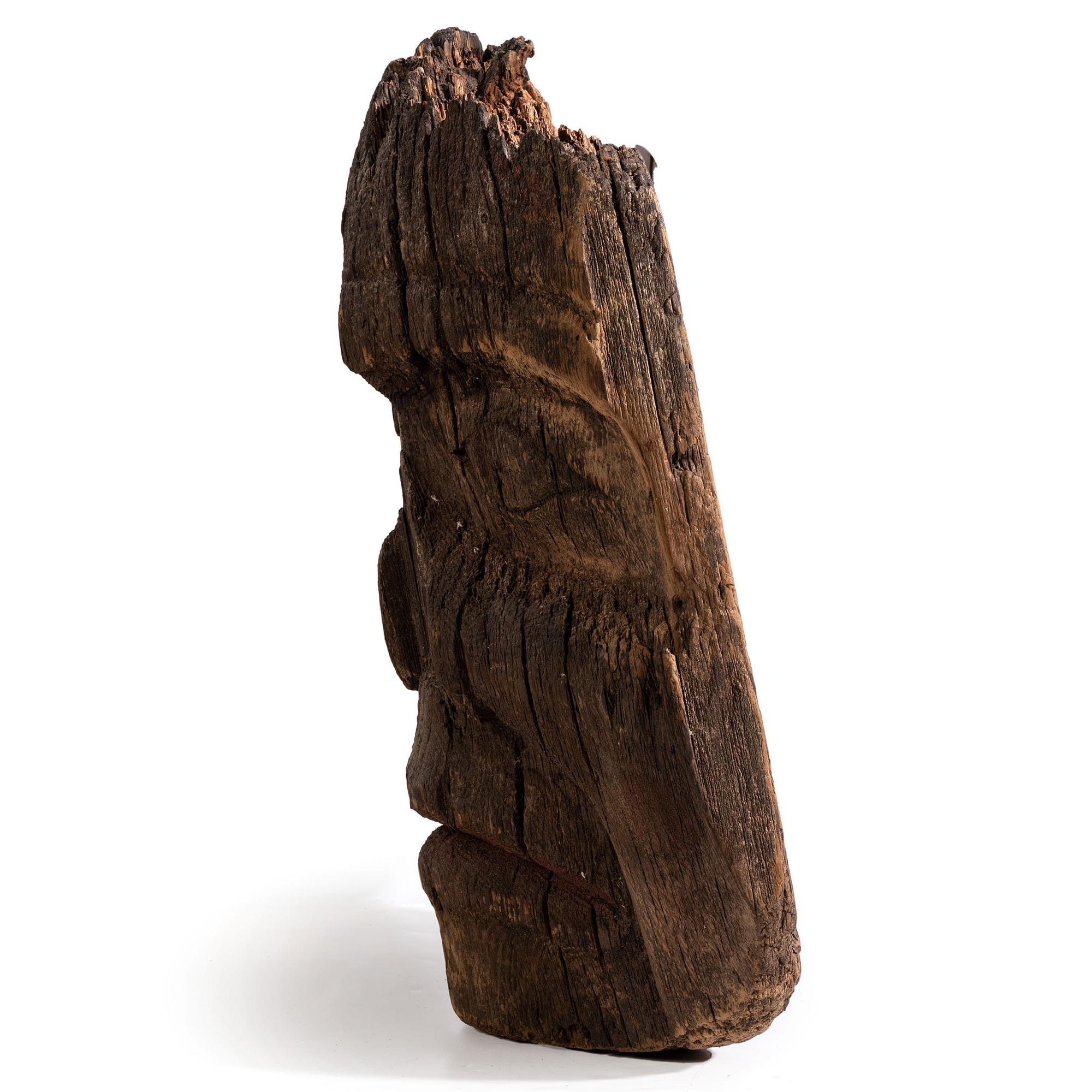 Northwest Coast Totemic Fragment