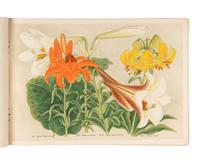 [GARDENS & FLORA]. A group of 8 works, including: