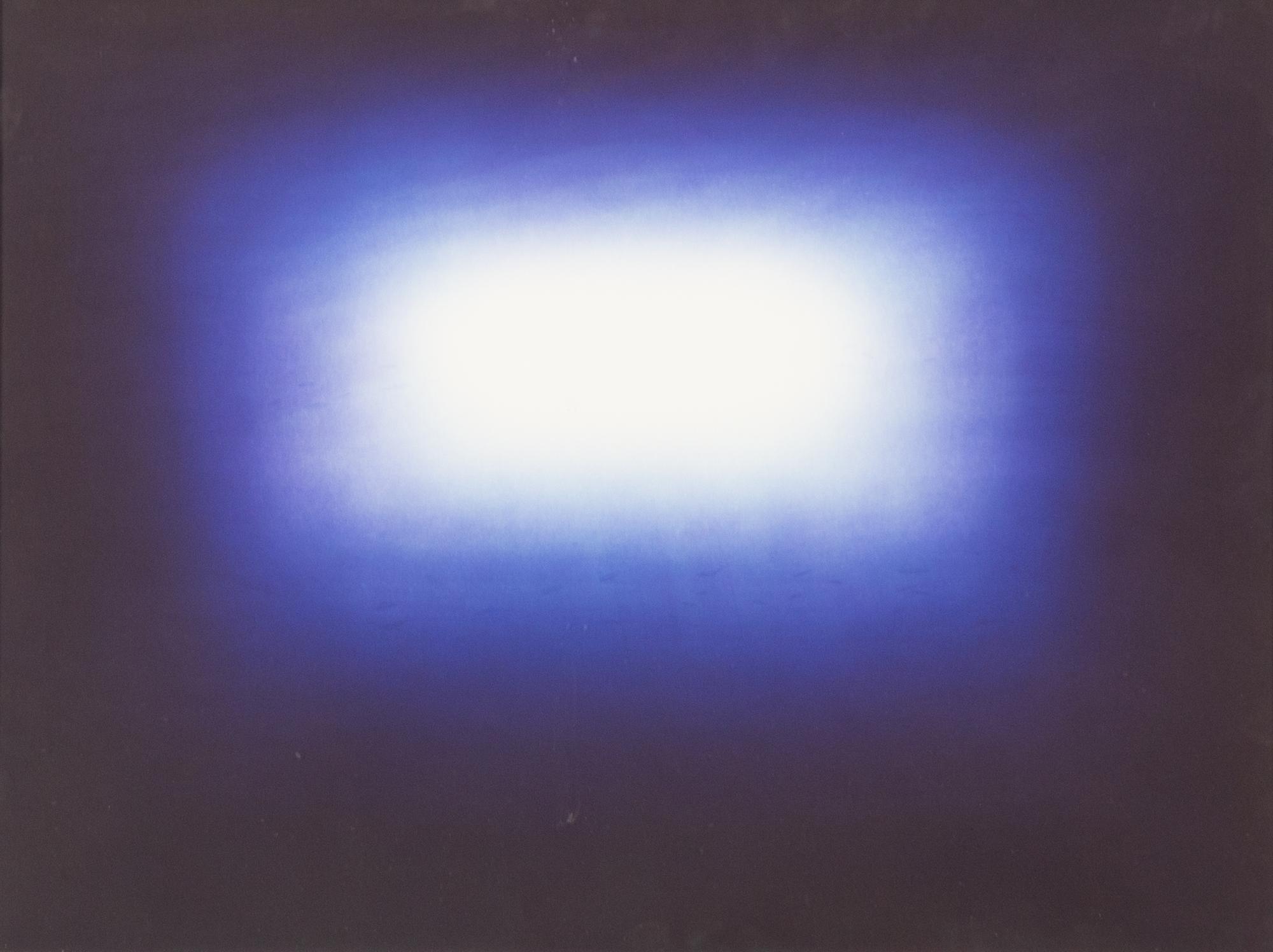 Shadow IV (Dark Blue)