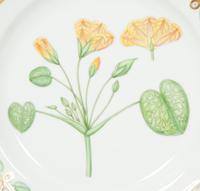 Eight Royal Copenhagen Flora Danica Reticulated Porcelain Dinner Plates