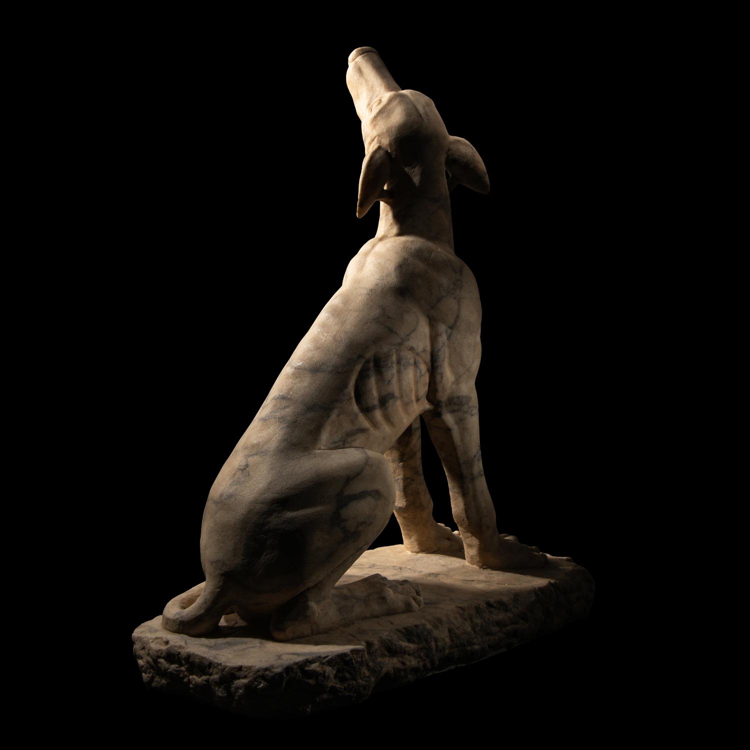 A Roman Pavonazzetto Marble Laconian Hound