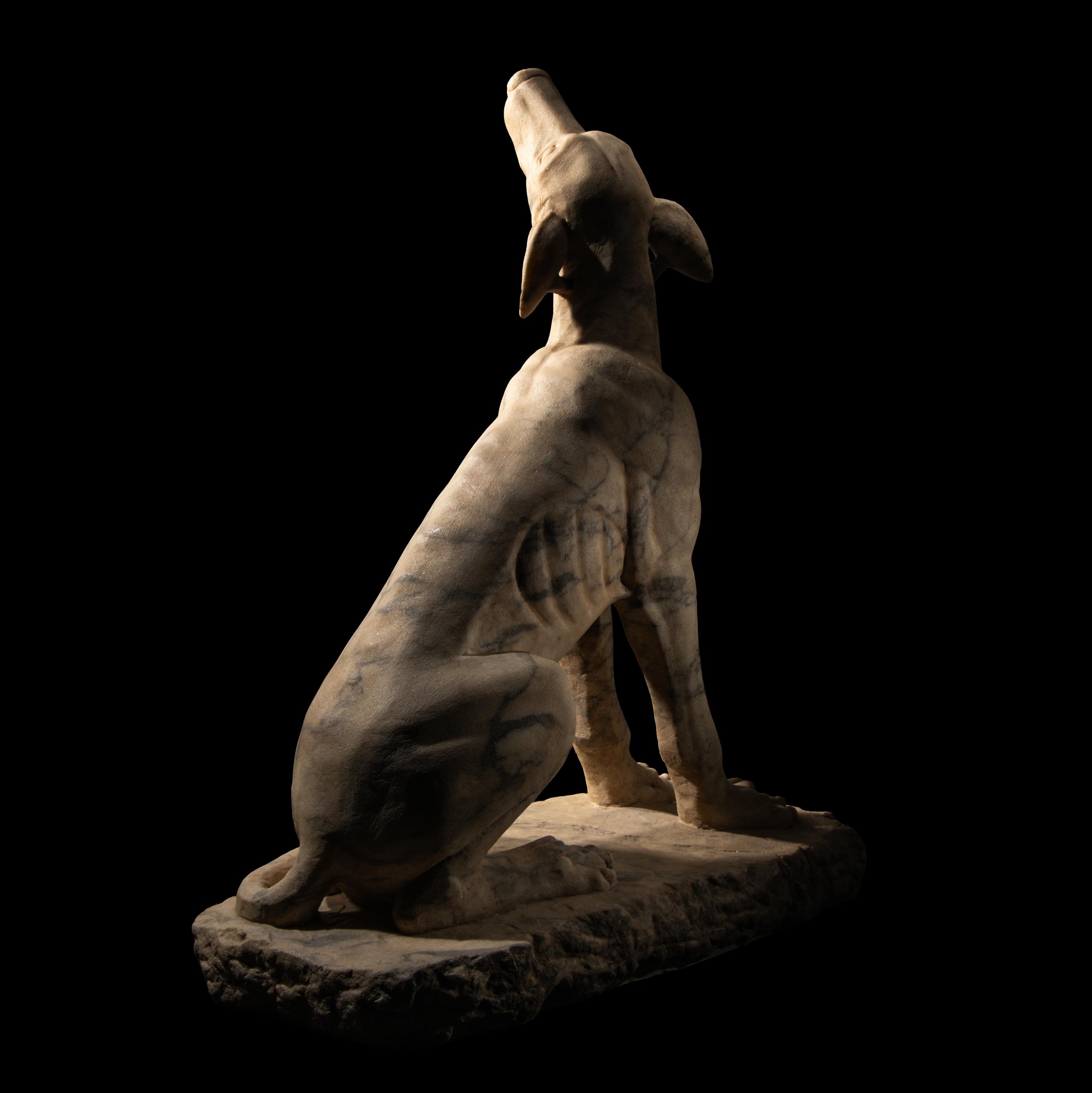 A Roman Pavonazzetto Marble Laconian Hound