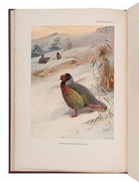 [NATURAL HISTORY]. BEEBE, Charles William (1877-1962). A Monograph of the Pheasants . London: Witherby & Co., 1918-1922.