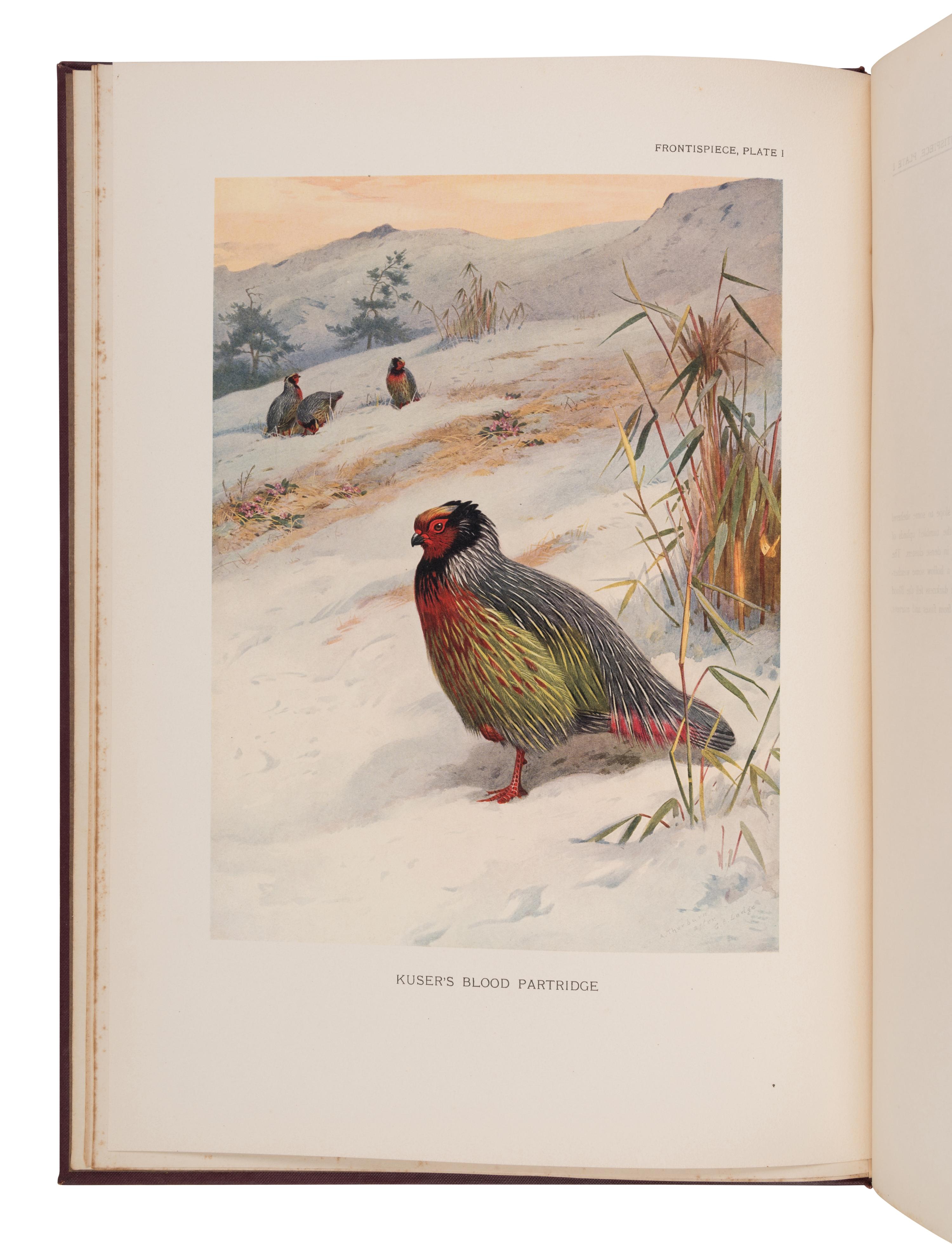 [NATURAL HISTORY]. BEEBE, Charles William (1877-1962). A Monograph of the Pheasants . London: Witherby & Co., 1918-1922.