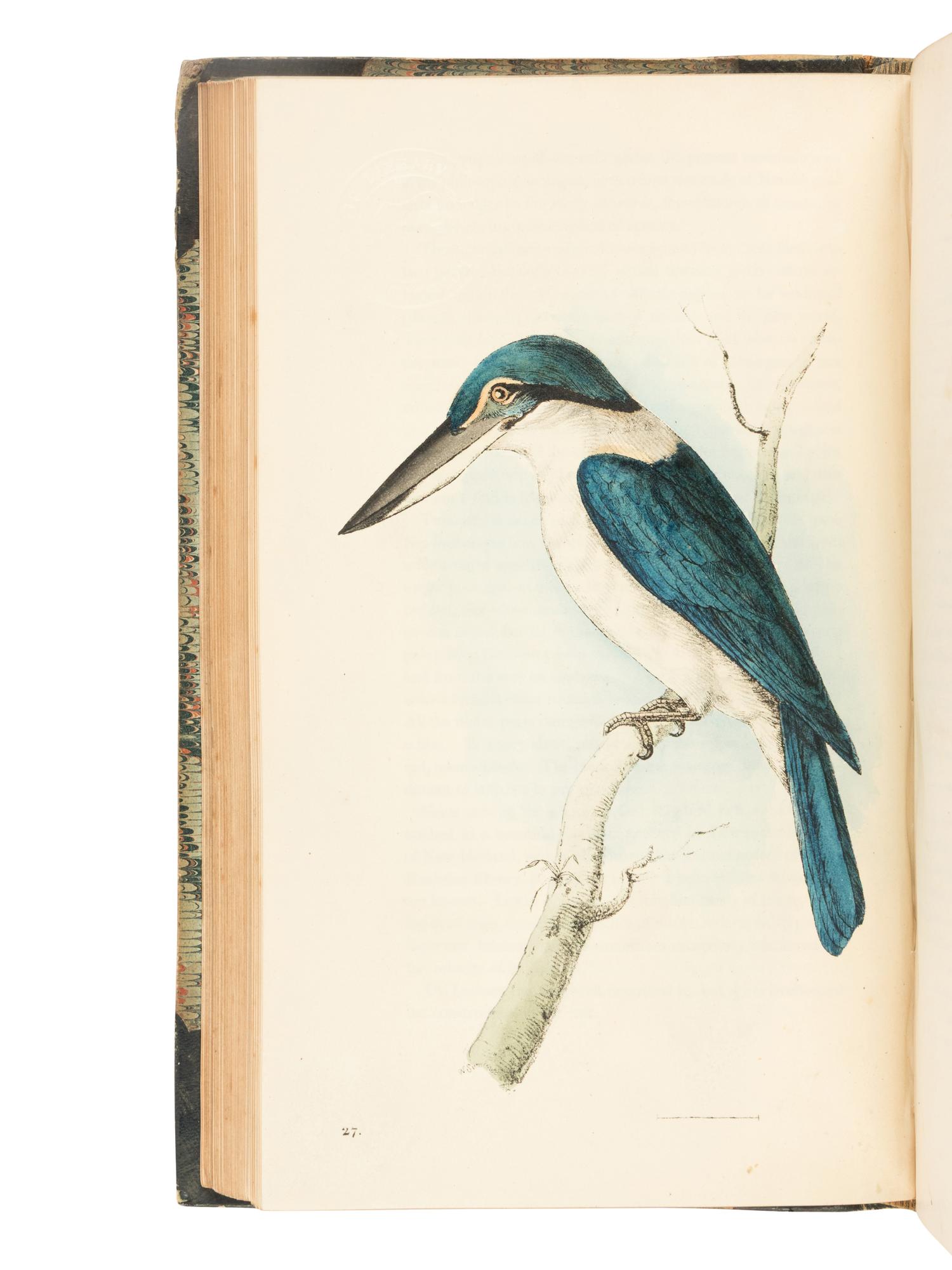 [NATURAL HISTORY]. SWAINSON, William John (1789-1855). Zoological Illustrations, or Original Figures and Descriptions of New, Rare, and Interesting Animals... London: Baldwin, Cradock, and Joy, 1820-1833.