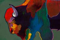 Buffalo Medicine