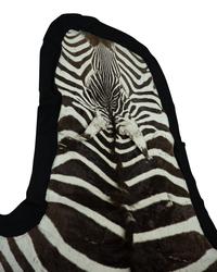 A Zebra Stallion Skin Rug