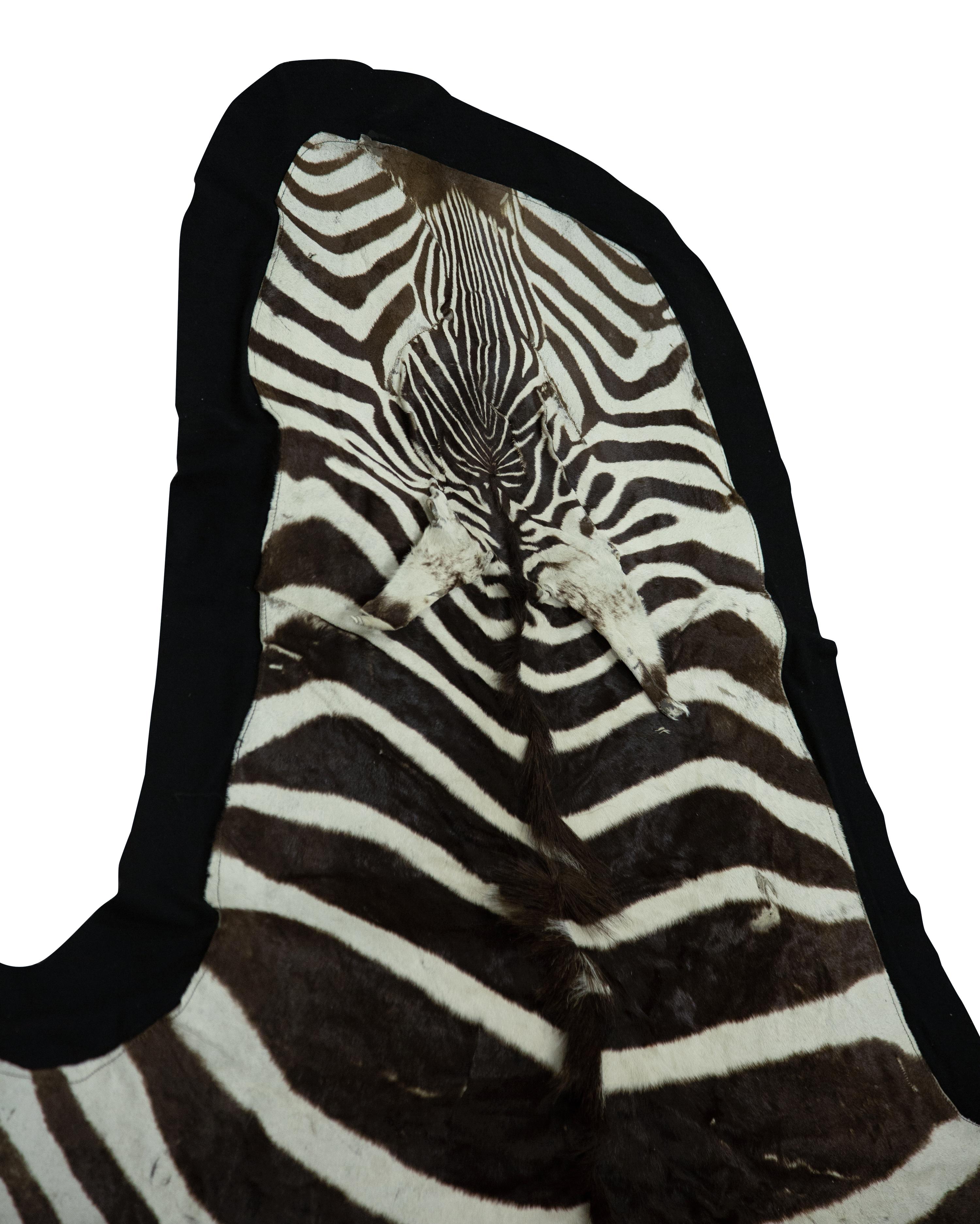 A Zebra Stallion Skin Rug