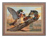 Dark Hollow Woodies , 1999