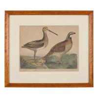 Alexander Lawson (1773-1846) and John G. Warnicke (died 1818), After Alexander Wilson (1766-1813), A Set of Sixteen Hand-Colored Engravings of Various Birds