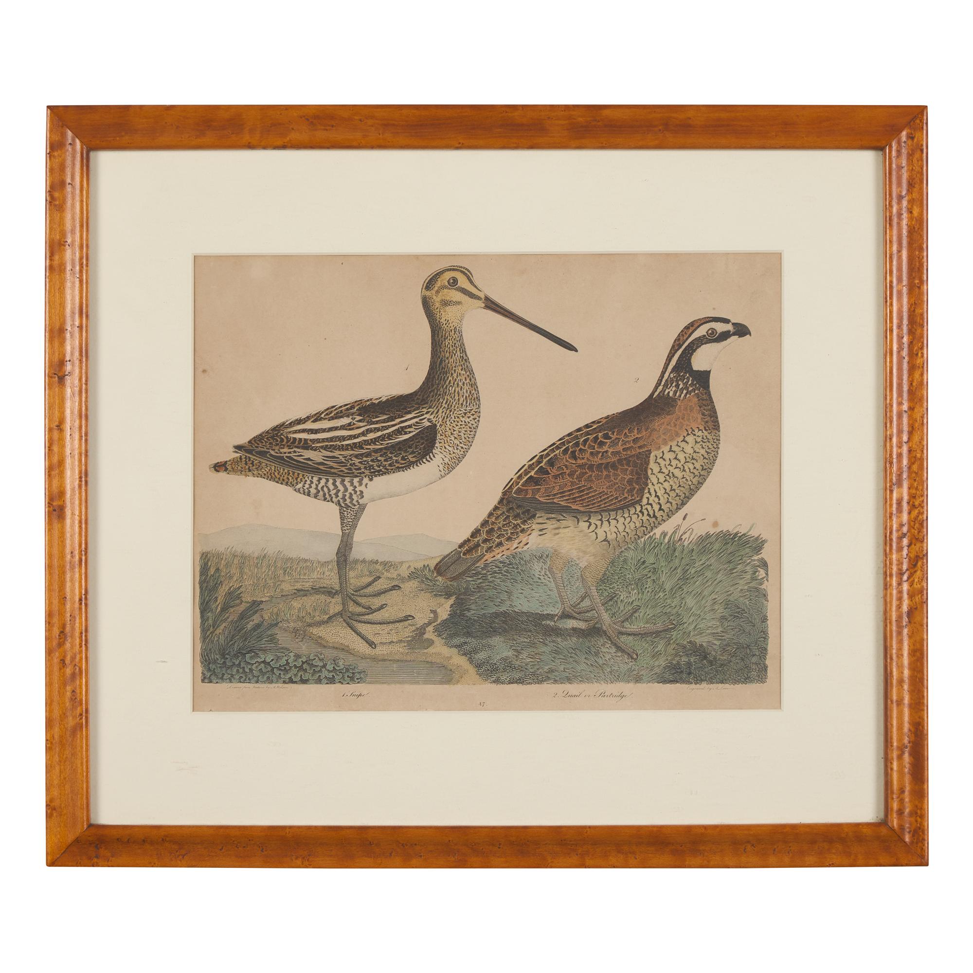 Alexander Lawson (1773-1846) and John G. Warnicke (died 1818), After Alexander Wilson (1766-1813), A Set of Sixteen Hand-Colored Engravings of Various Birds