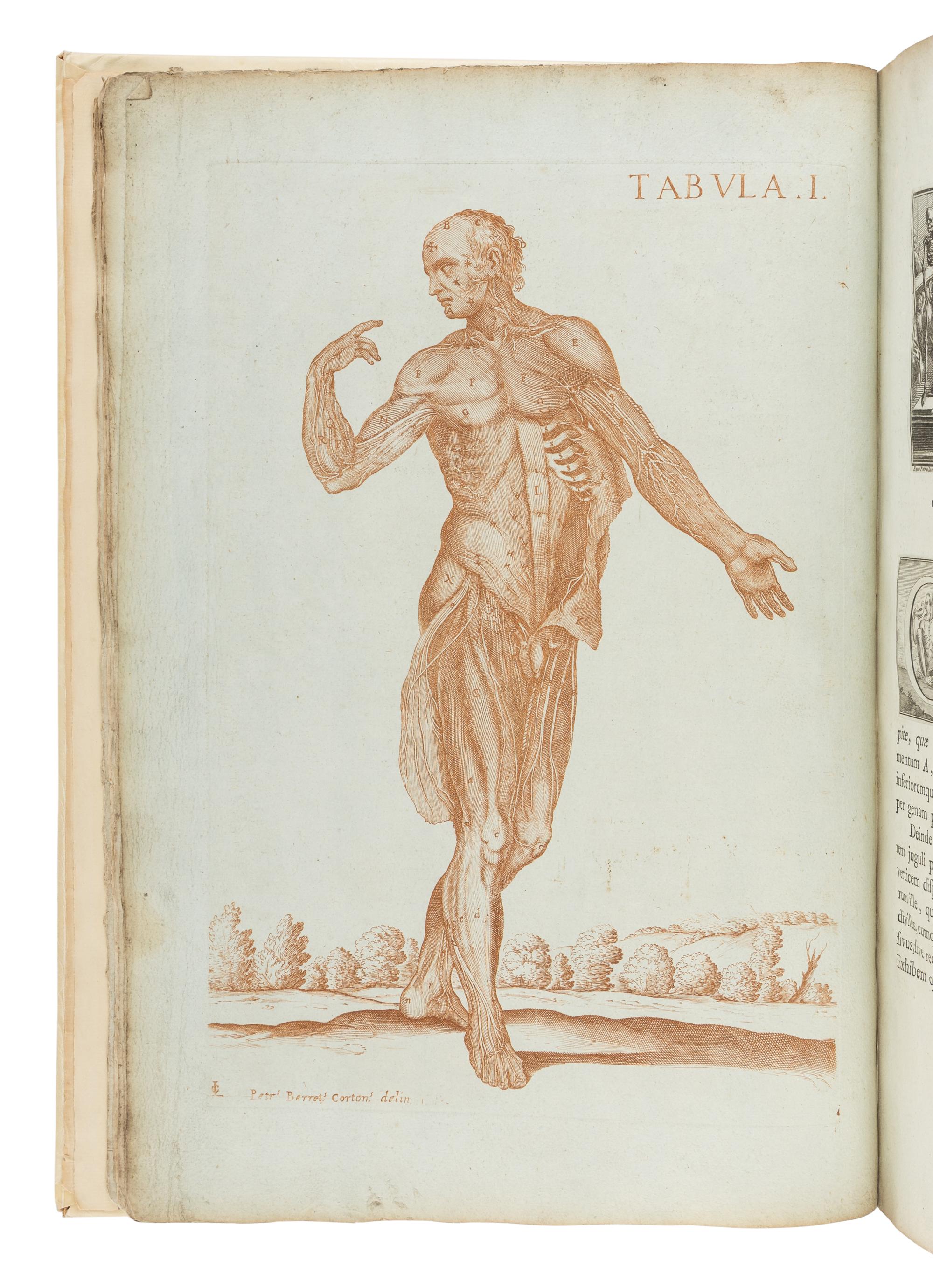 BERRETTINI, Pietro, called 'Pietro da Cortona' (1596-1669). Tabulae anatomicae ... Rome: Venanti Monaldini, 1788.