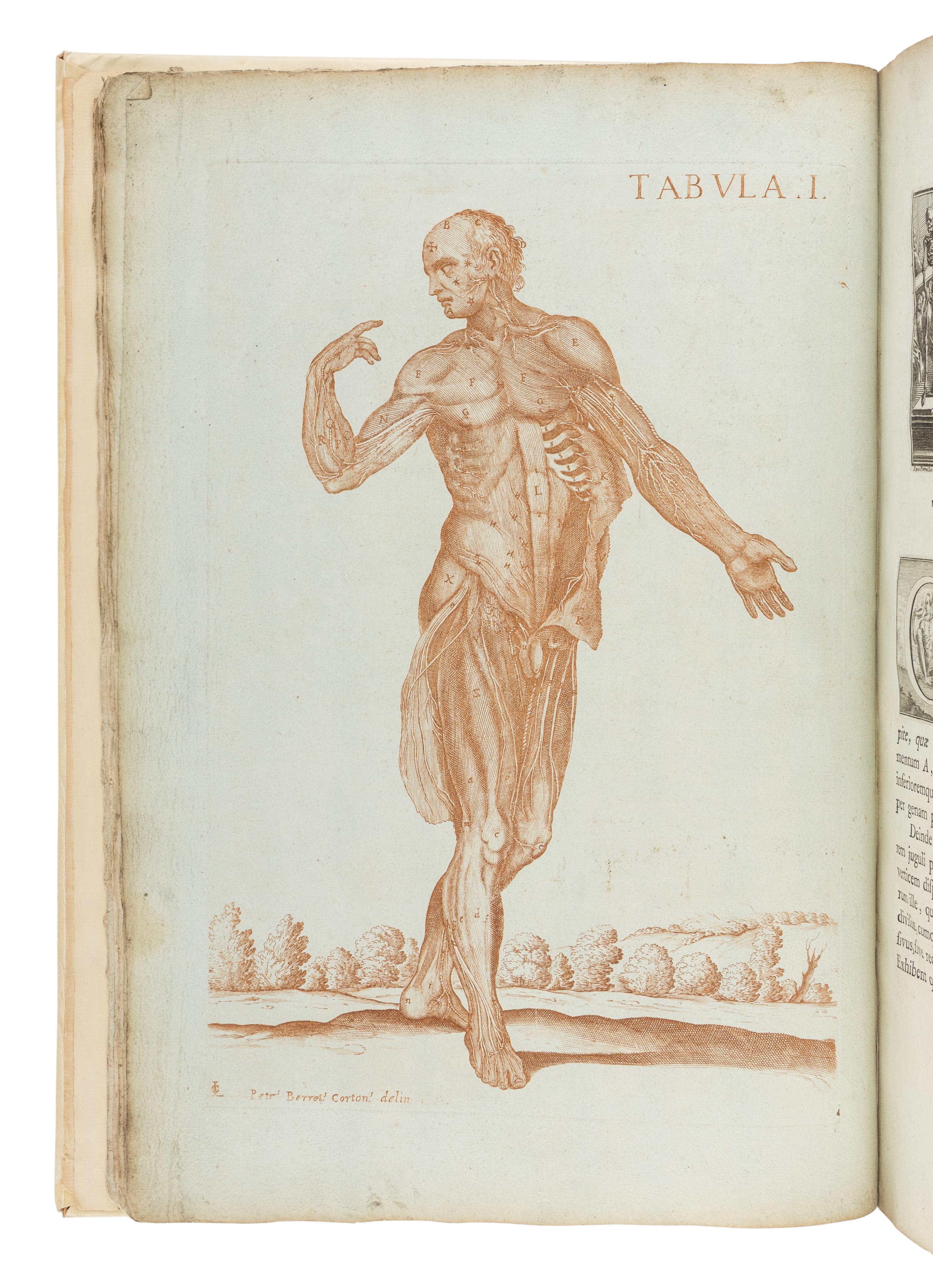 BERRETTINI, Pietro, called 'Pietro da Cortona' (1596-1669). Tabulae anatomicae ... Rome: Venanti Monaldini, 1788.
