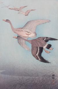 Ohara Koson, (Japanese, 1877-1975), Six works: Birds and Fish