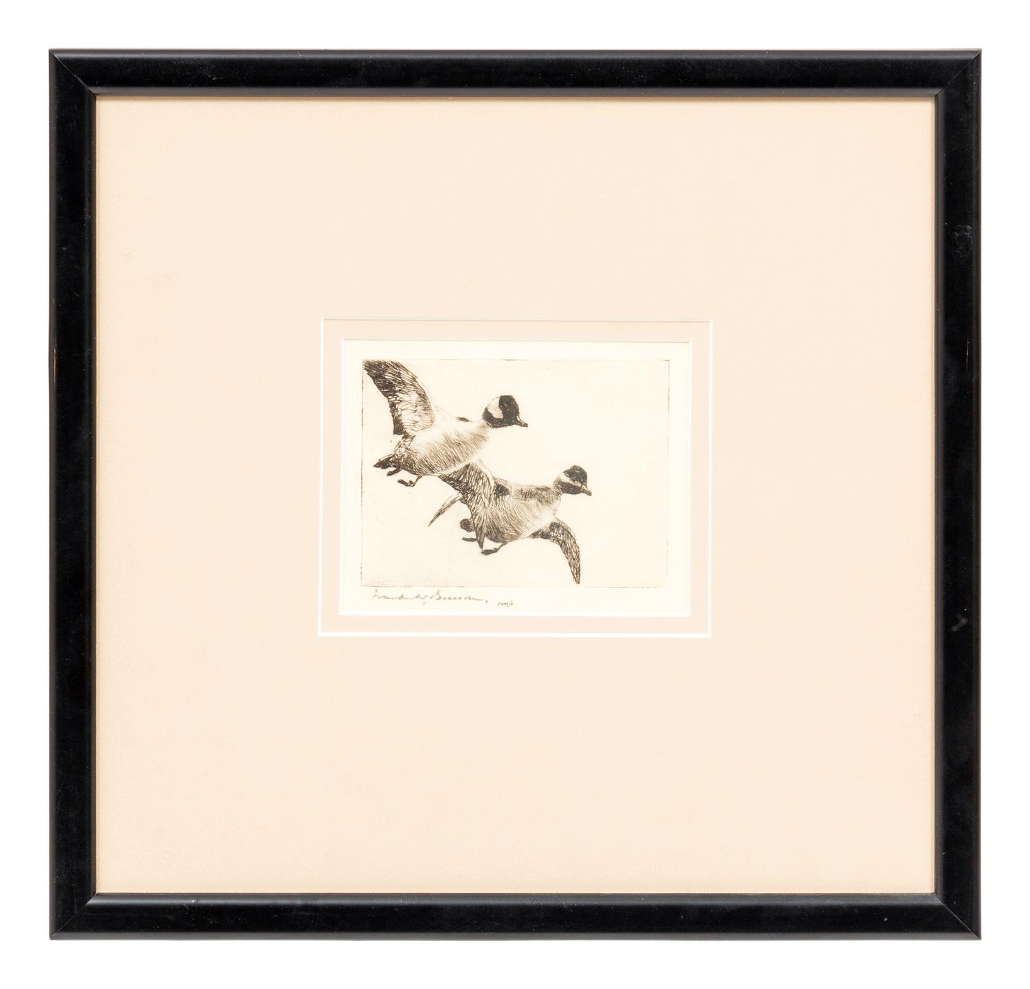 Flying Buffleheads