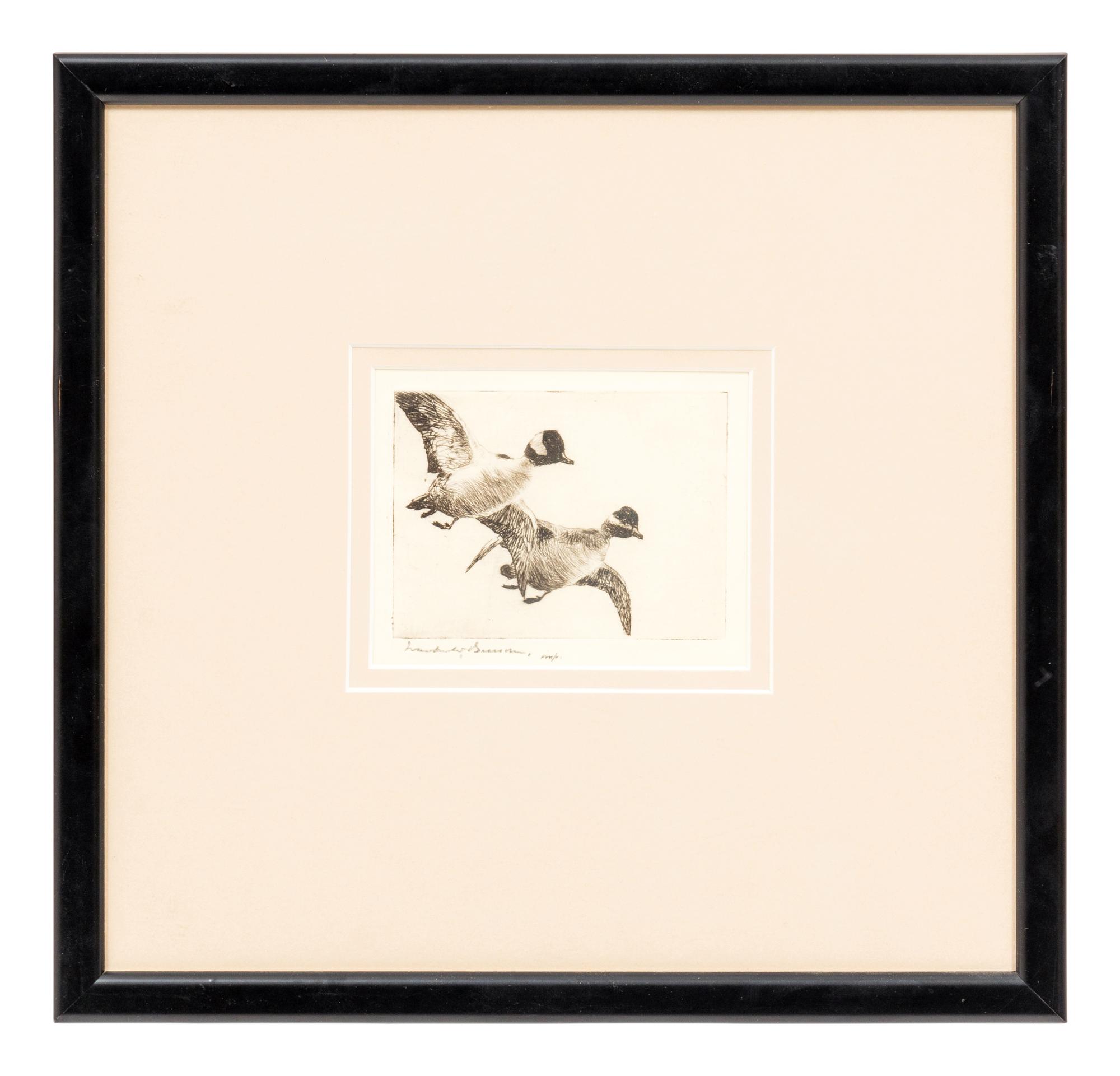 Flying Buffleheads