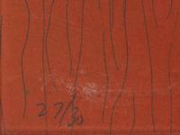 Vertical Lines Not Straight Not Touching on Color (plate numbers 1, 2, and 5 from the portfolio of six)