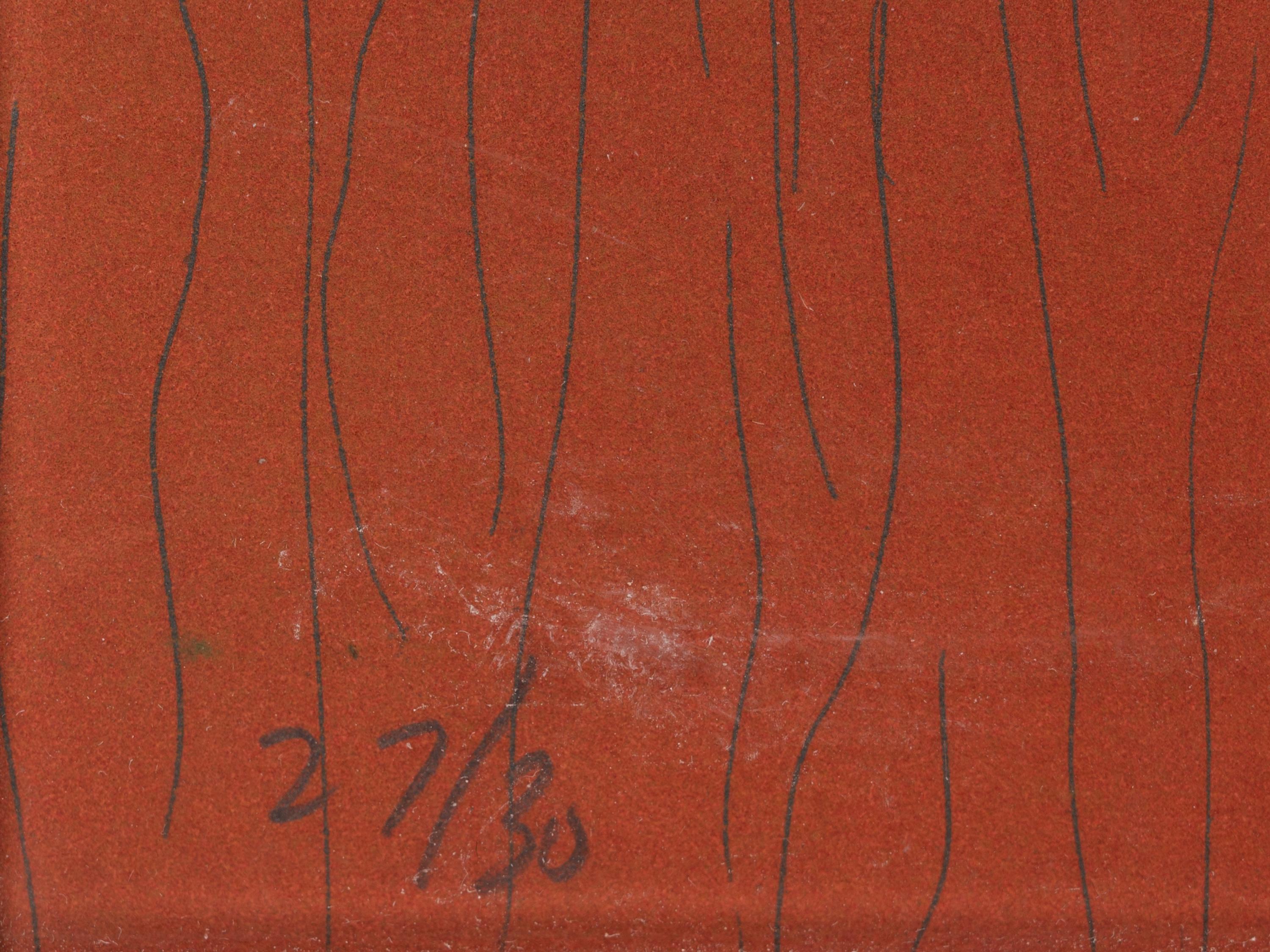 Vertical Lines Not Straight Not Touching on Color (plate numbers 1, 2, and 5 from the portfolio of six)