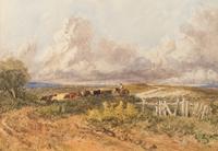 Crossing the Moor: Drover and Cattle