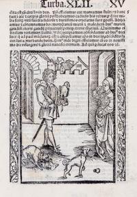 Albrecht Durer, (German, 1471-1528), The Fanatical Falcon and Dog Lover (from Ship of Fools), 1511
