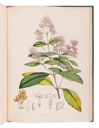 HOWARD, John Eliot (1807-1883). The Quinology of the East Indian Plantations . London: L. Reeve & Co.,, 1869-1876.