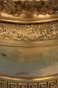A Pair of Neoclassical Gilt Bronze Urns on Marble Plinths