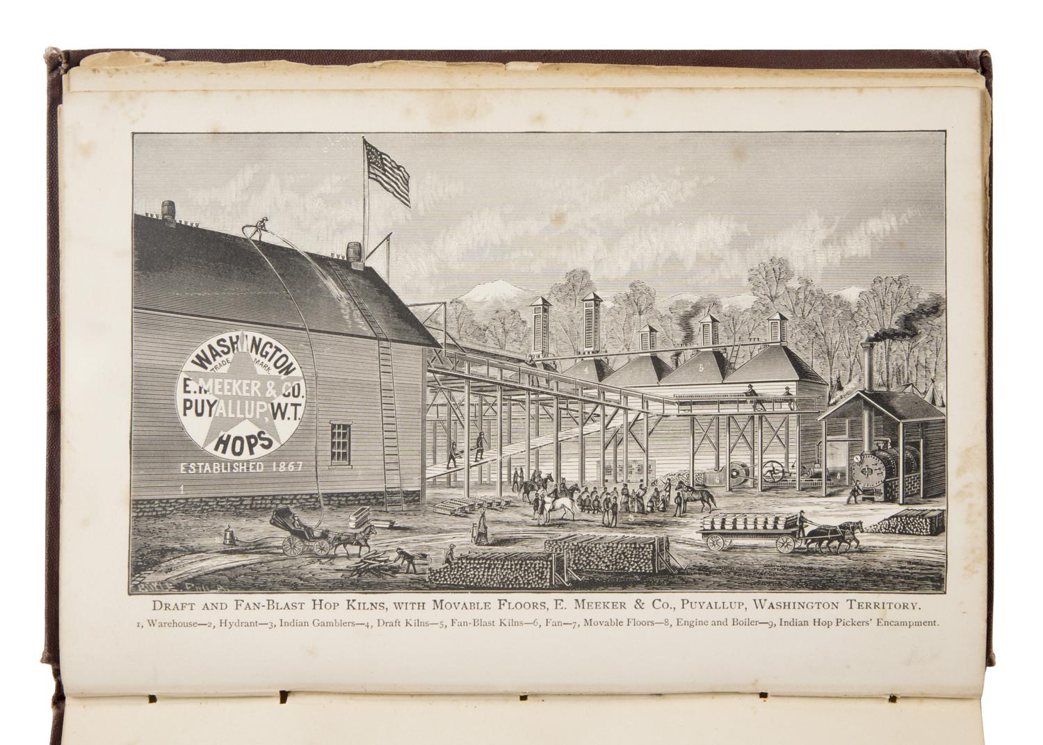 Meeker, Ezra (1830-1928). Hop Culture in the United States being a Practical treatise on Hop Growing in Washington Territory, from the Cutting to the Bale . Puyallup, Washington Territory: E. Meeker & Co., 1883.