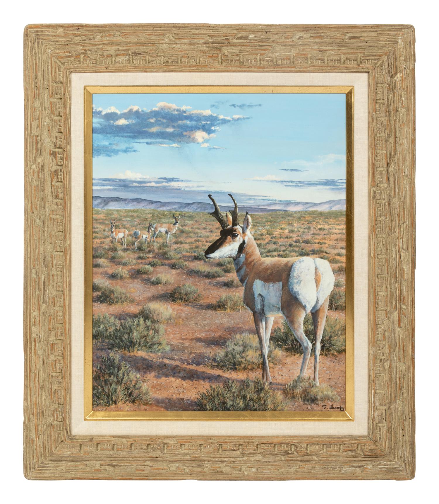 Desert Dwellers , 1995