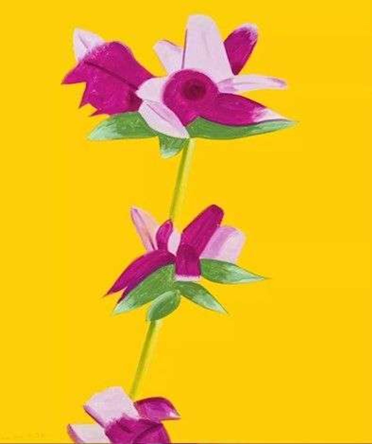 Alex Katz (American, b. 1927) Azaleas on Yellow (from the Flowers portfolio)