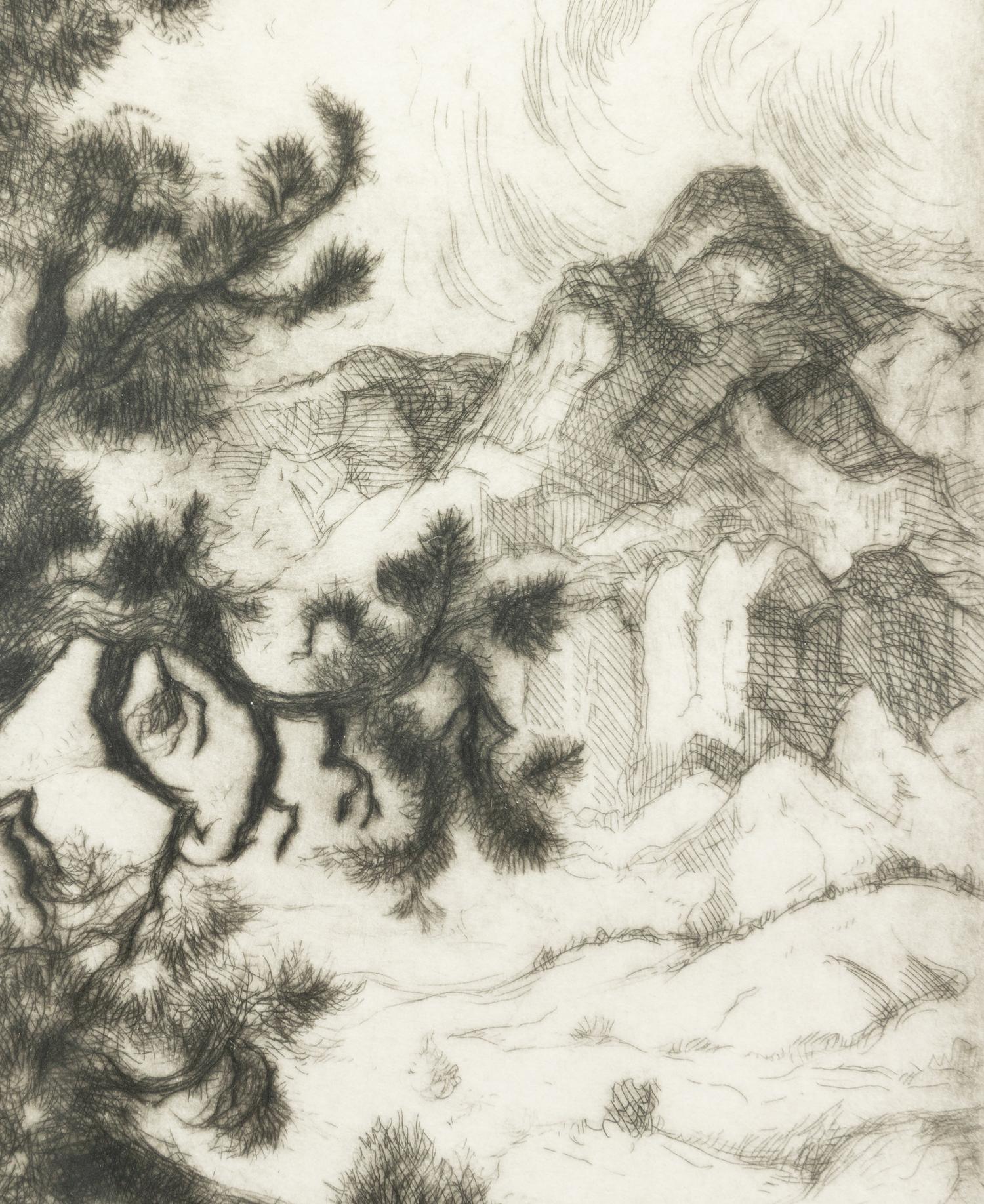 Old Piñon Tree , edition 44/50