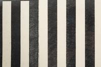 Untitled plate from 12 Views for Caroline Tatyana, 1977-1979; published 1989