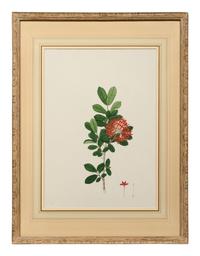 A Set of Six Botanical Artworks