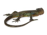 A Bergmann Austrian Cold-Painted Bronze Canary Island Lizard (No. 4133) — 19th Century