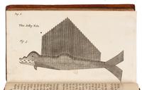 FUNNELL, William. A Voyage Round the World. London, 1707. FIRST EDITION.