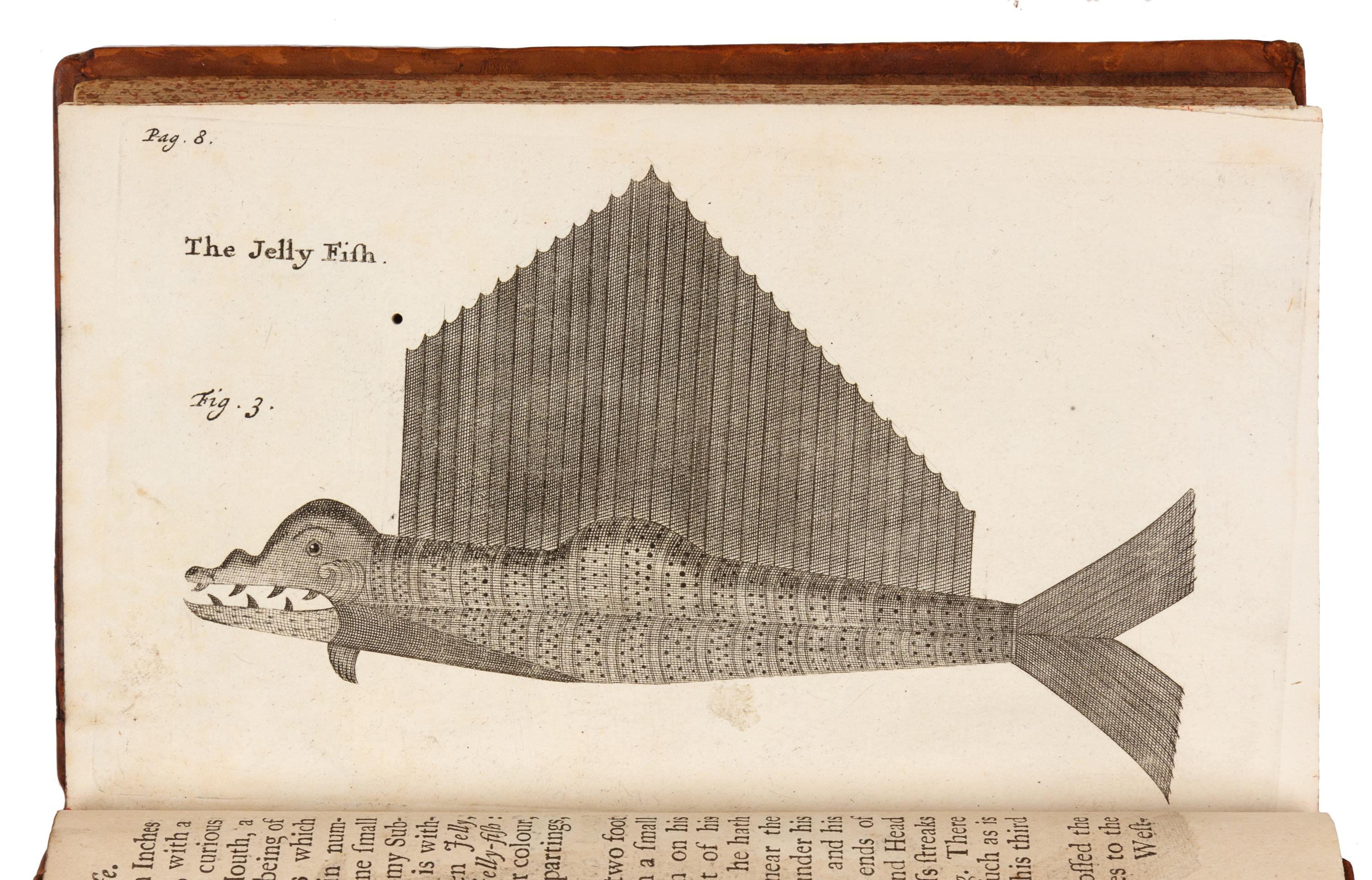 FUNNELL, William. A Voyage Round the World. London, 1707. FIRST EDITION.