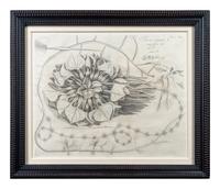 A Set of Six Framed Botanical Engravings