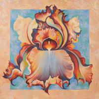 Rainbow Iris